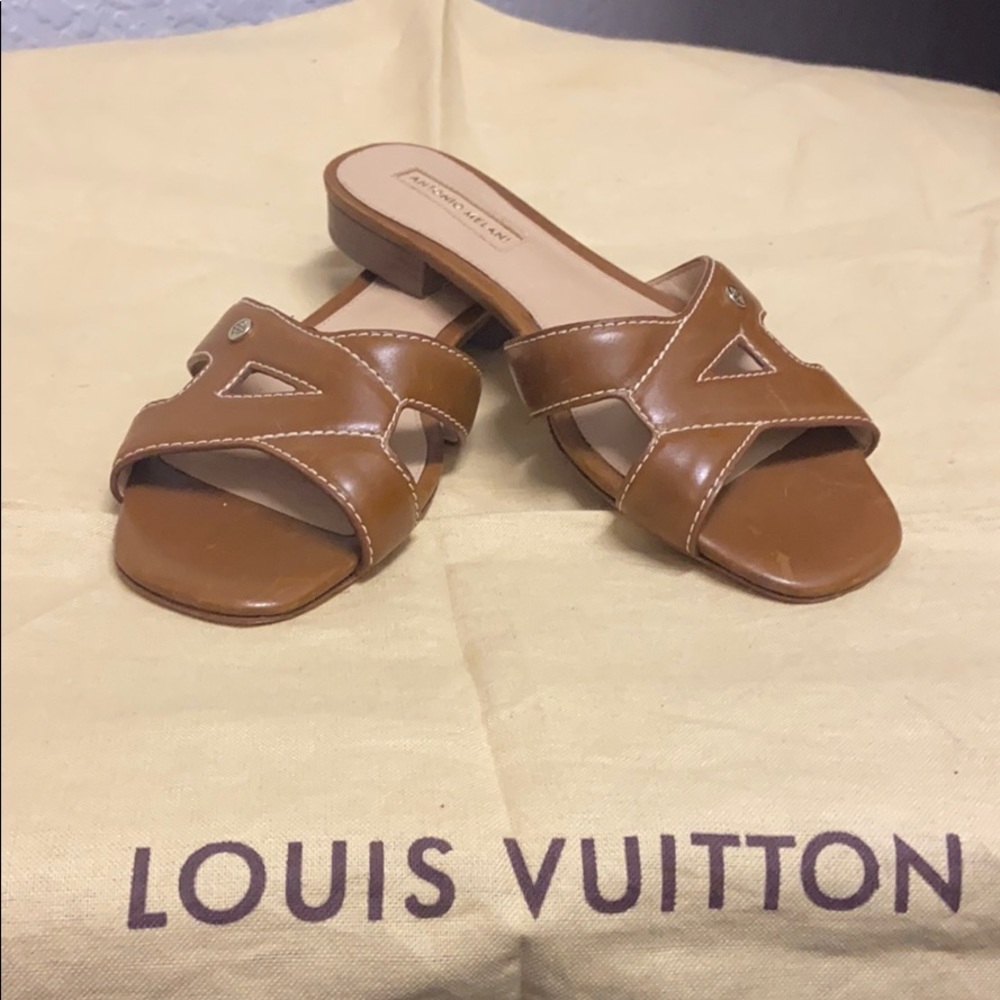 Antonio Melani Slides